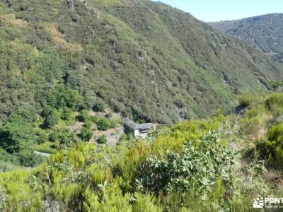 Montes Aquilianos - Valle del Silencio; hayedo de la pedrosa faja de las flores pasarelas rio mao bu